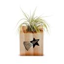 Awesome Teacher Star