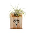 Welcome Party Popper