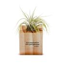 Inspiration Perspiration Success