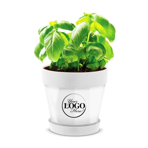 Corporate Gifts - Shop by Recipient - Employee Gifts - Employee Appreciation Gift Planter Pot