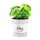 Employee Appreciation Gift Planter Pot
