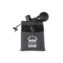 Ready to Learn, Ready to Shine