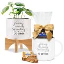 Ghirardelli Dekstop Gift Set Ghirardelli Dekstop Gift Set