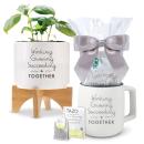 Starbucks Desktop Gift Set Starbucks Desktop Gift Set