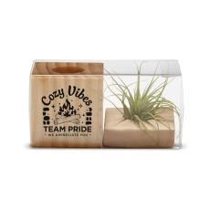 Holiday Appreciation Gift Air Plant - Shop By Theme