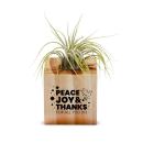 Peace Joy & Thanks Peace Joy & Thanks