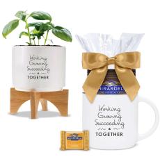 Appreciation Gift Box - Modern Planter & Mug with Chocolate - Care Packages
