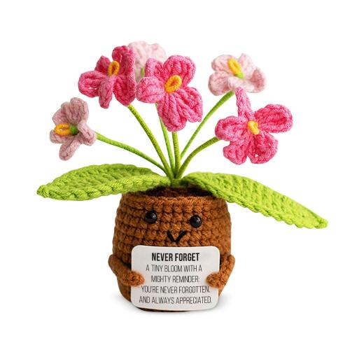 Corporate Gifts - Employee Gifts - Stress Relievers - Forget-Me-Not Affirmable