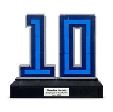 Anniversary Brick Building Kit - New Awards