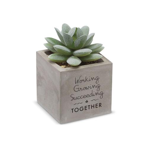 Corporate Gifts - Plants & Grow Kits - Working, Growing, Succeeding Mini Faux Succulent