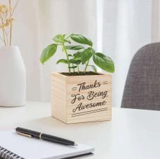 Thanks for Being Awesome Personalized Plant Cube - Plants & Grow Kits