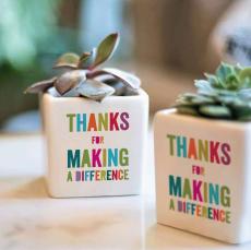 Making a Difference Ceramic Pot Succulent - Employee Gifts Under $25