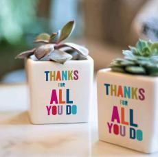 Thanks For All You Do Ceramic Pot Succulent - Employee Gifts Under $25