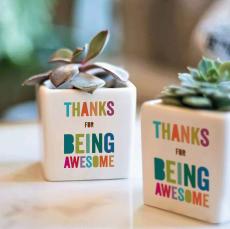 Thanks For Being Awesome Ceramic Pot Succulent - Employee Gifts Under $25