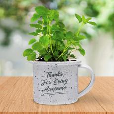 Thanks Mini Camp Mug Planter - Plants & Grow Kits