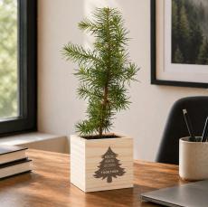 Holiday Tree Personalized Plant Cube - Plants & Grow Kits