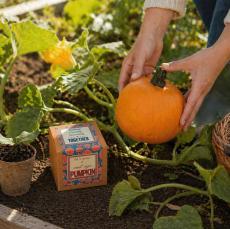 Working Growing Succeeding Kraft Pumpkin Planter - Office Supplies