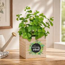 Encourage Mint Wooden Plant Cube - Plants & Grow Kits