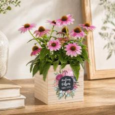 Healing Vibes Wooden Plant Cube - Plants & Grow Kits