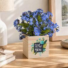 Here for You Wooden Plant Cube - Plants & Grow Kits