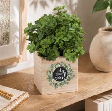 Lucky Clover Wooden Plant Cube - Plants & Grow Kits