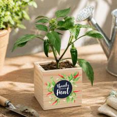 Thanks for Bringing the Heat Wooden Plant Cube - Plants & Grow Kits
