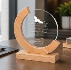 Eco Eclipse Acrylic Award - Awards & Recognition