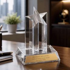 Rising Star Acrylic Award - Awards & Recognition