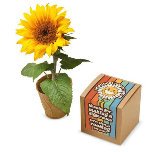 Emotional Support Kraft Planter Grow Kit Corporate Gifts - Plants & Grow Kits - Emotional Support Kraft Planter Grow Kit
