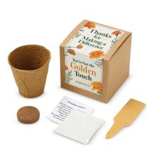 Golden Touch Kraft Planter Marigold Grow Kit - Holiday Gifts