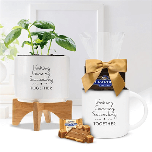 Planter and Mug Corporate Gift Set